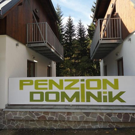 Penzion Dominik Железна-Руда Экстерьер фото